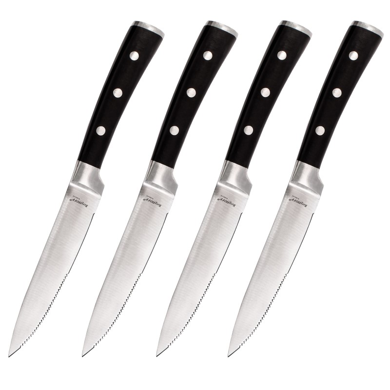 4 Piece Classico Stainless Steel Steak Knife Set