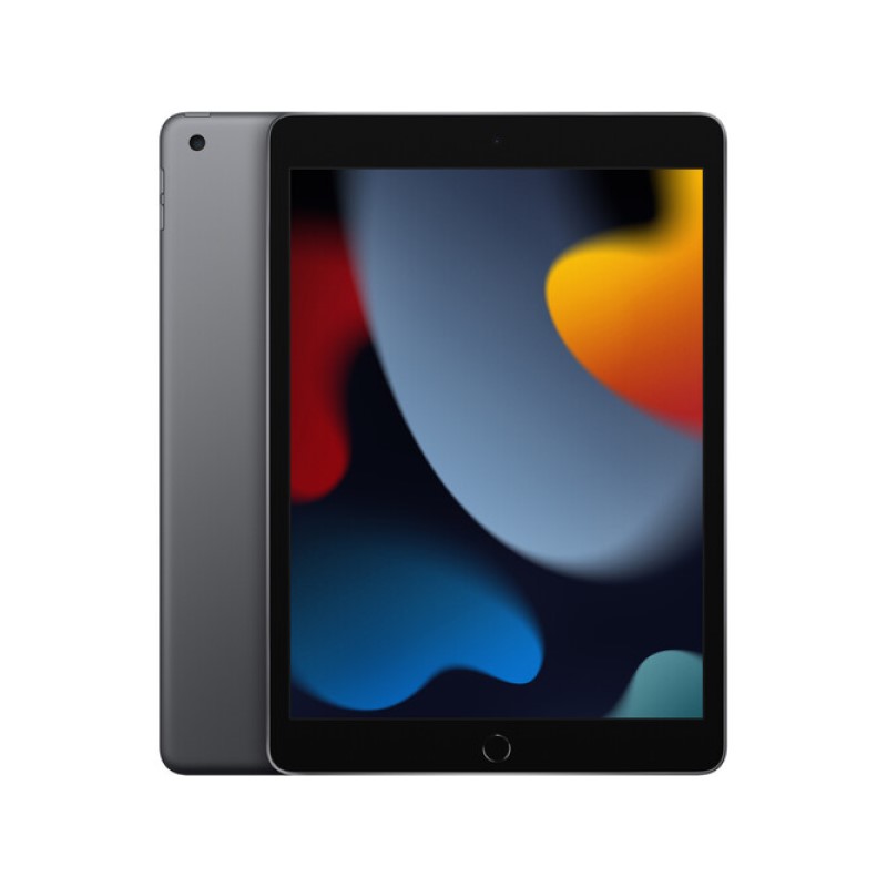 10.2 - Inch  256GB Wi-Fi Only - (Space Gray)