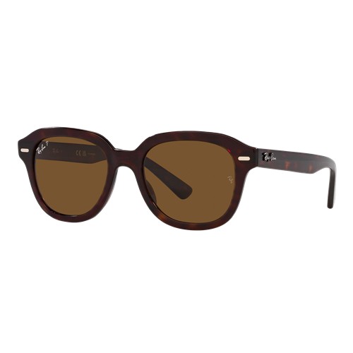 Ray-Ban Polarized Erik Sunglasses Havana/Polarized Brown Classic, Size 53 Frame