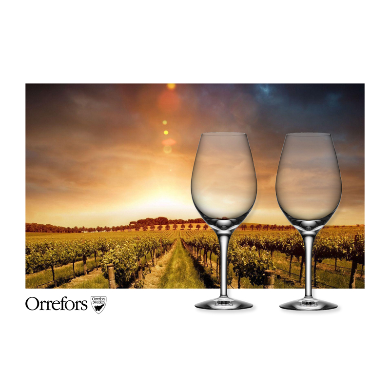 Clear One Size More Wine Glass - (Set of 8)
