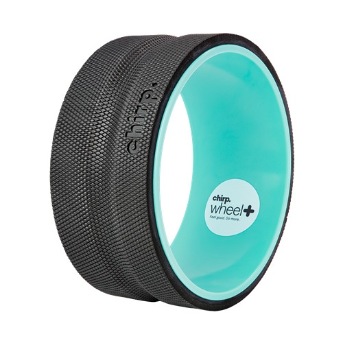Chirp Wheel Plus 10in Firm