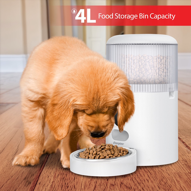 5GHz Programmable Pet Feeder with Camera