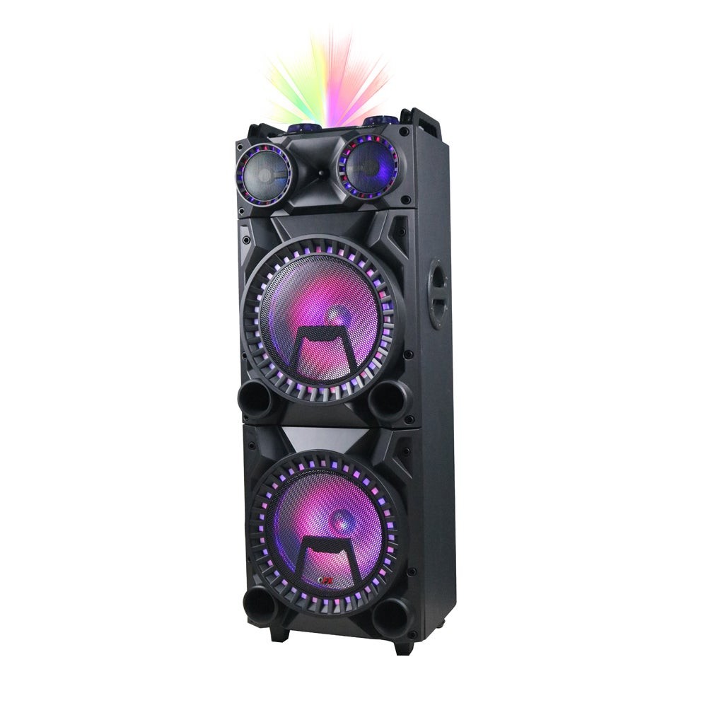 2 x 12" Portable Party Speaker w/ Disco Light