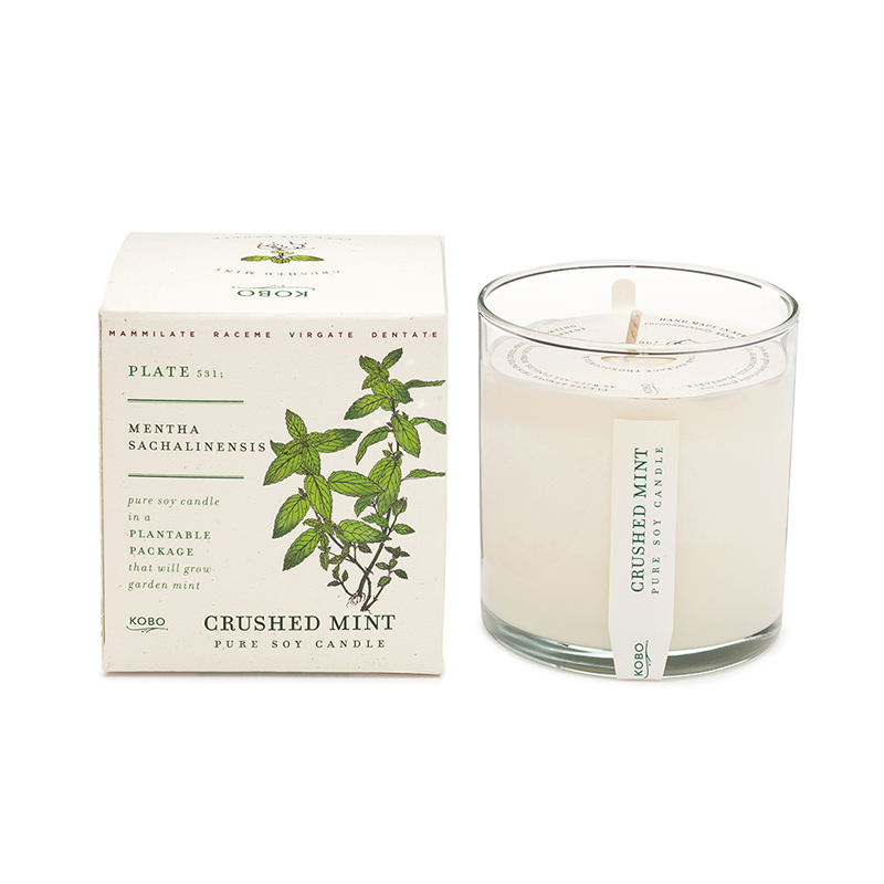 Crushed Mint Plant the Box Candle