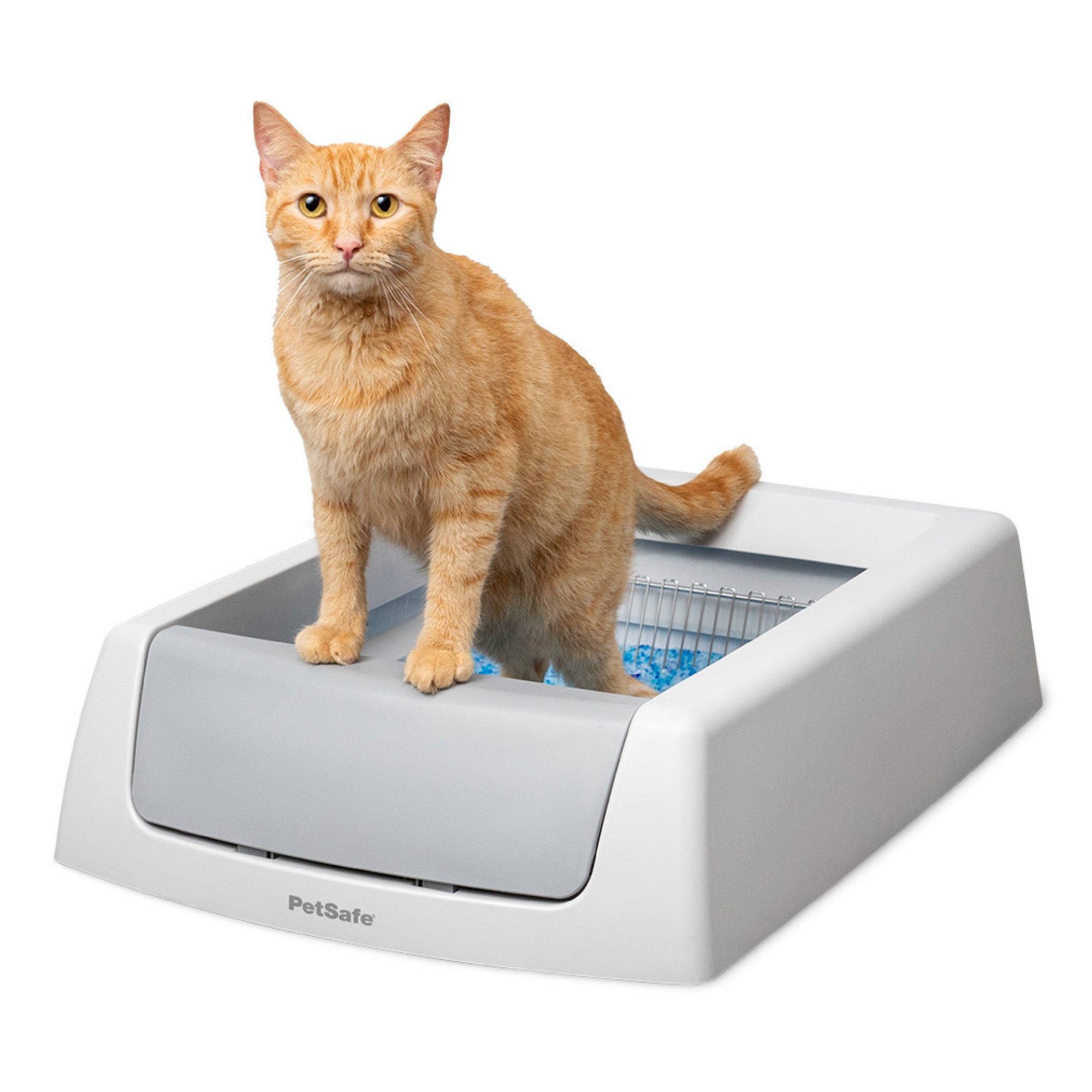 ScoopFree Complete Self-Cleaning Litter Box