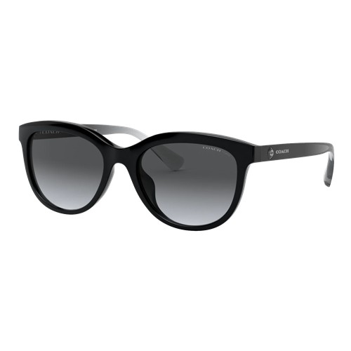 Coach Women's Polarized HC8285U Sunglasses