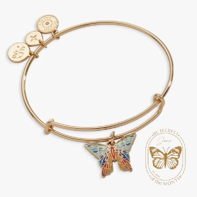 Chrysiridia Rhipheus Butterfly Charm Bangle