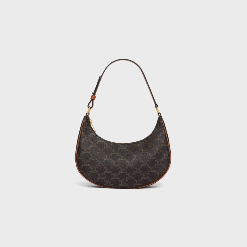 Celine Ava Bag in Triomphe Canvas and calfskin