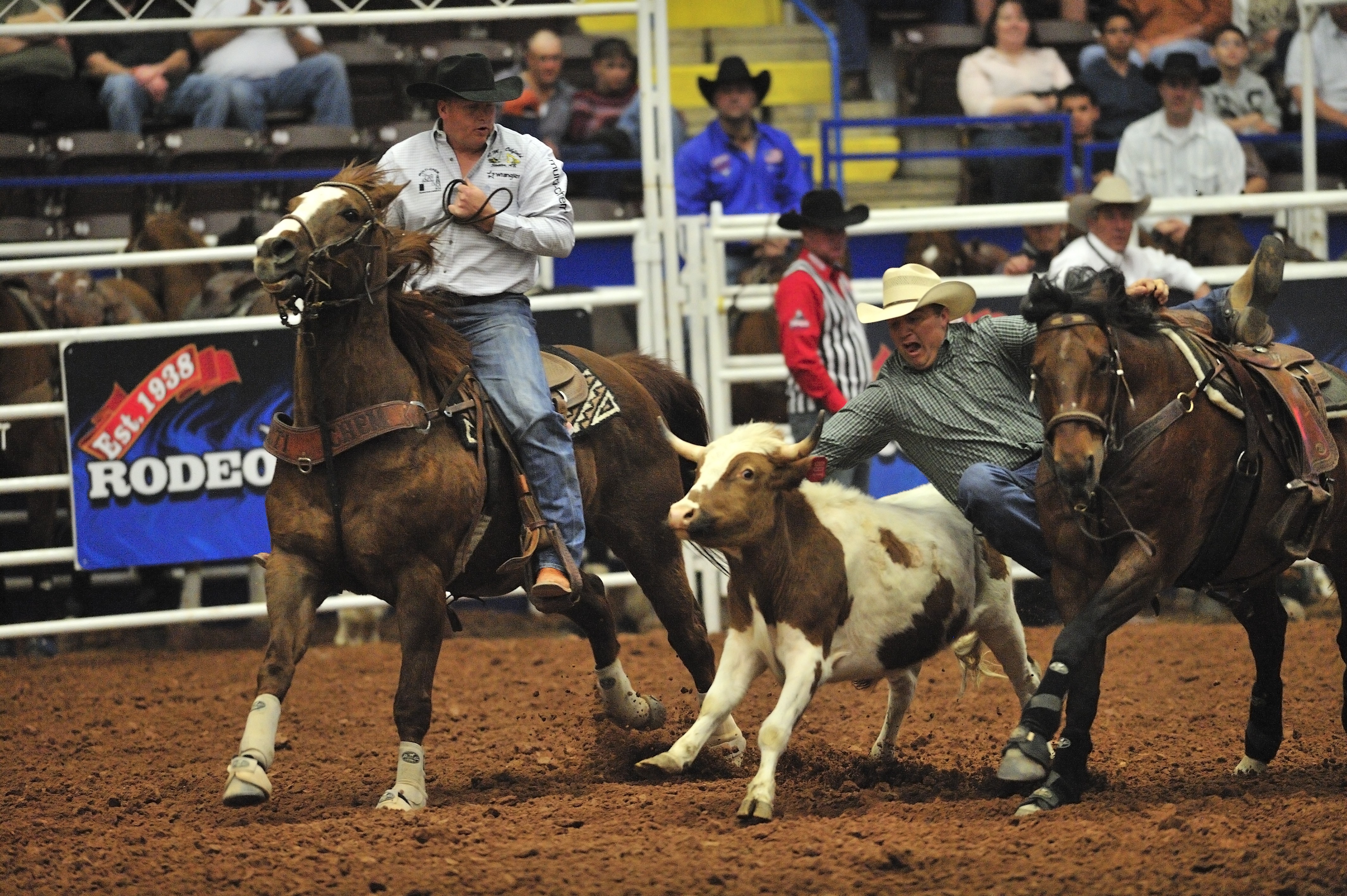 National Finals Rodeo Championship Weekend 200 Level Experience