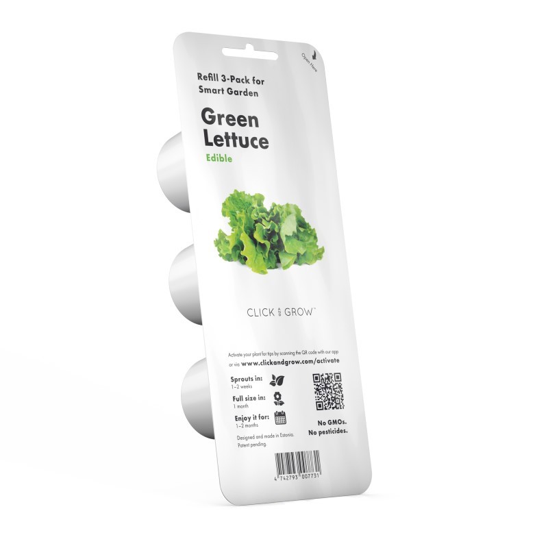 Green Lettuce Plant Pods 6 Pack.