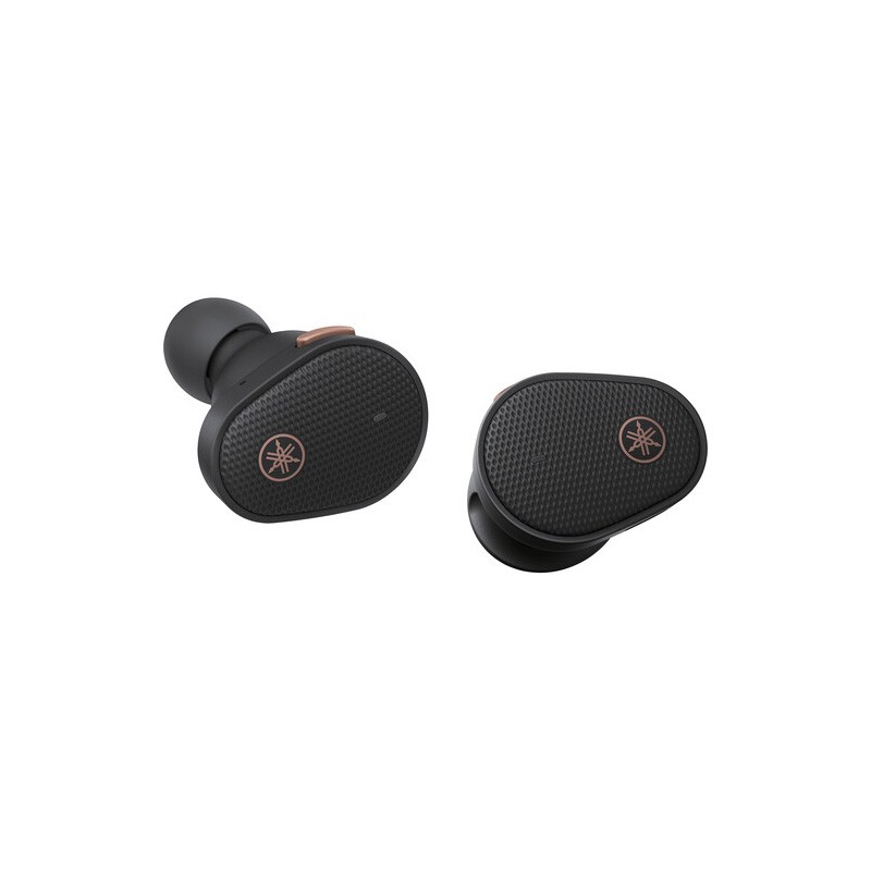 True Wireless Earbuds - Black)