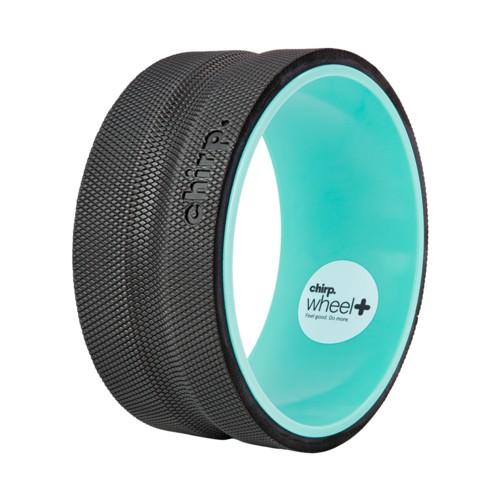 Chirp Wheel Plus 10in Firm