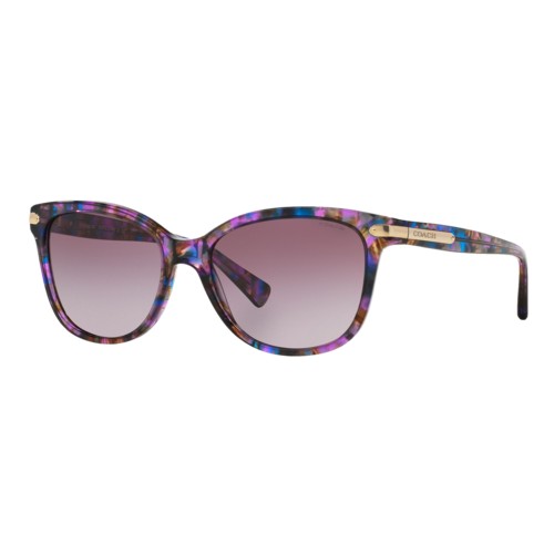 Coach Women's HC8132 Sunglasses