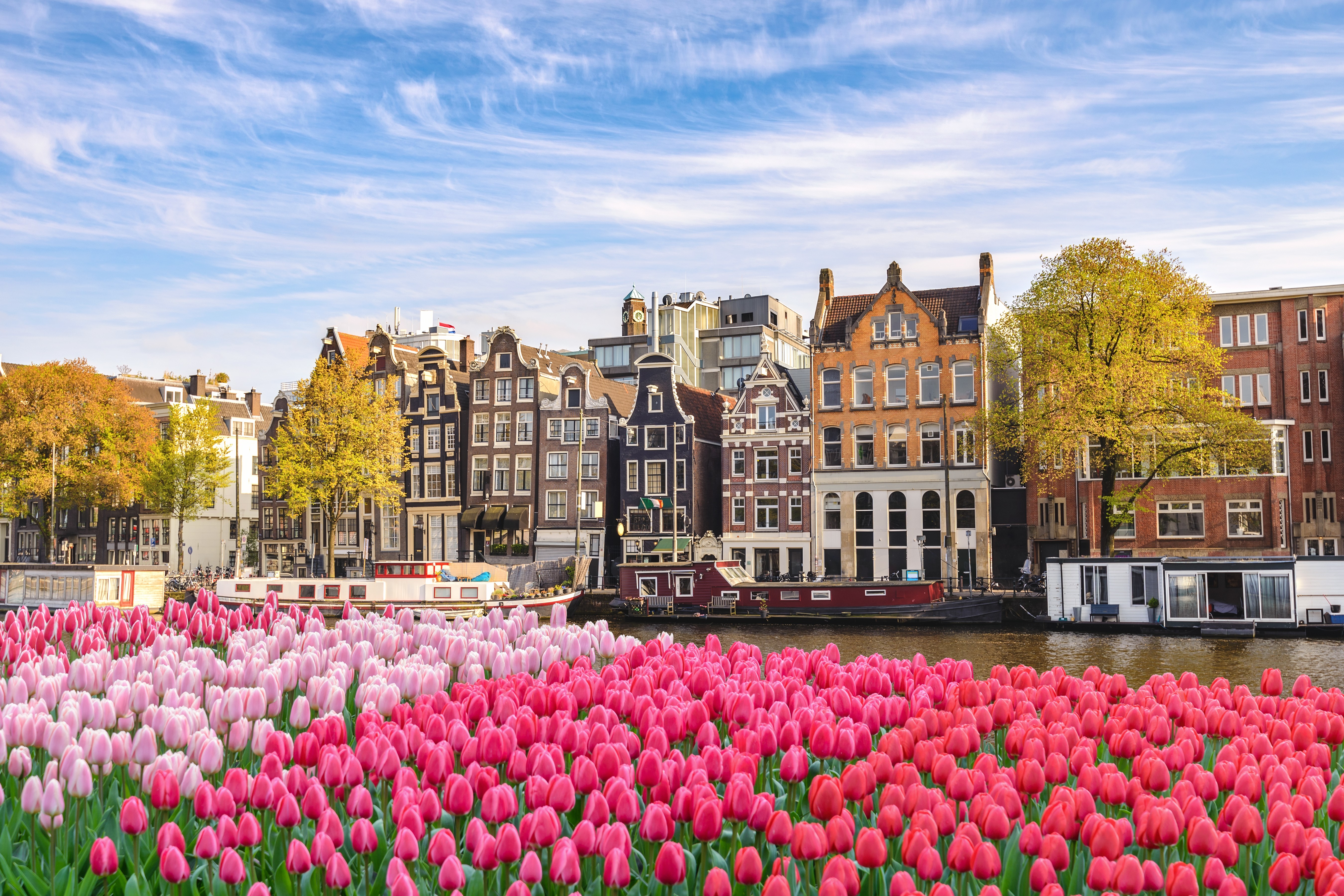 Three Nights in Amsterdam – Culturally Speaking