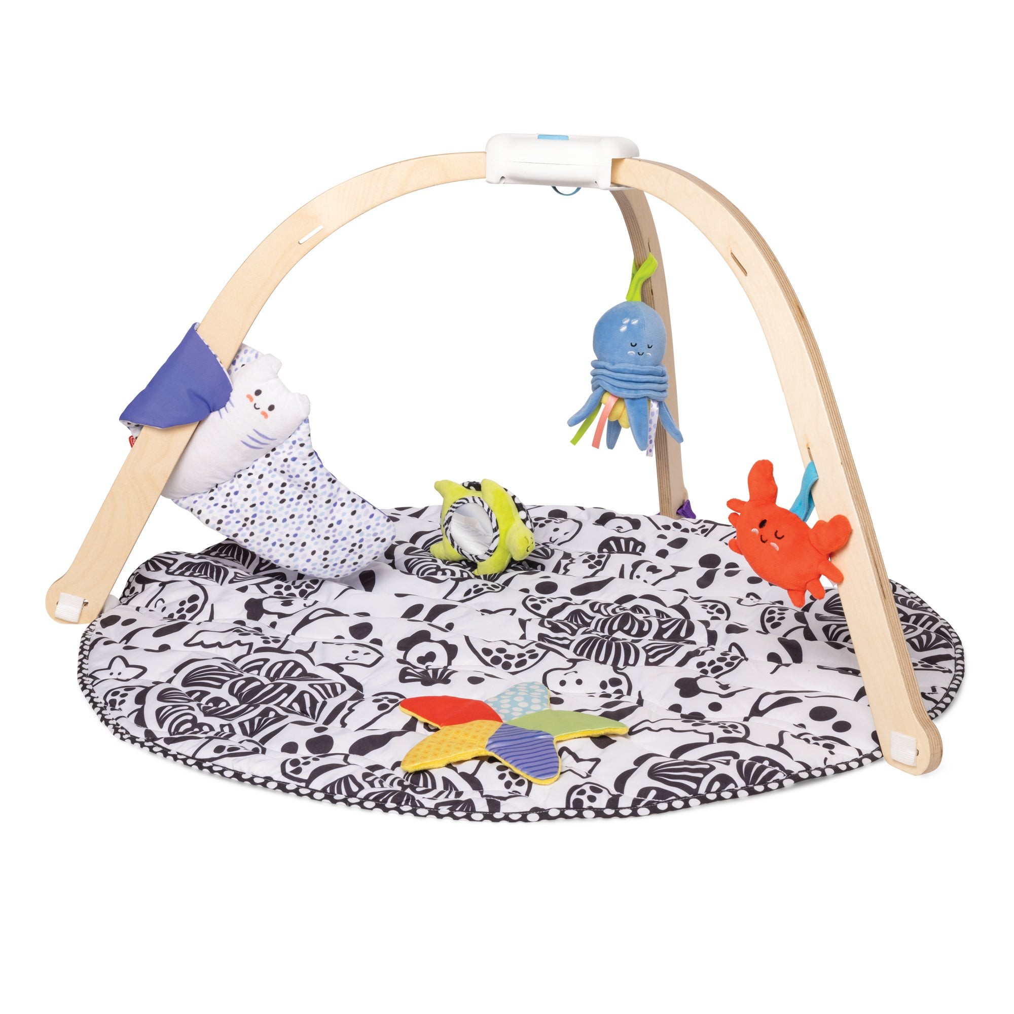 Ocean Easy-Fold Play Gym