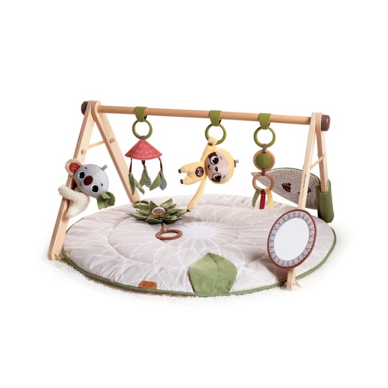 Boho Chic Luxe Developmental Gymini