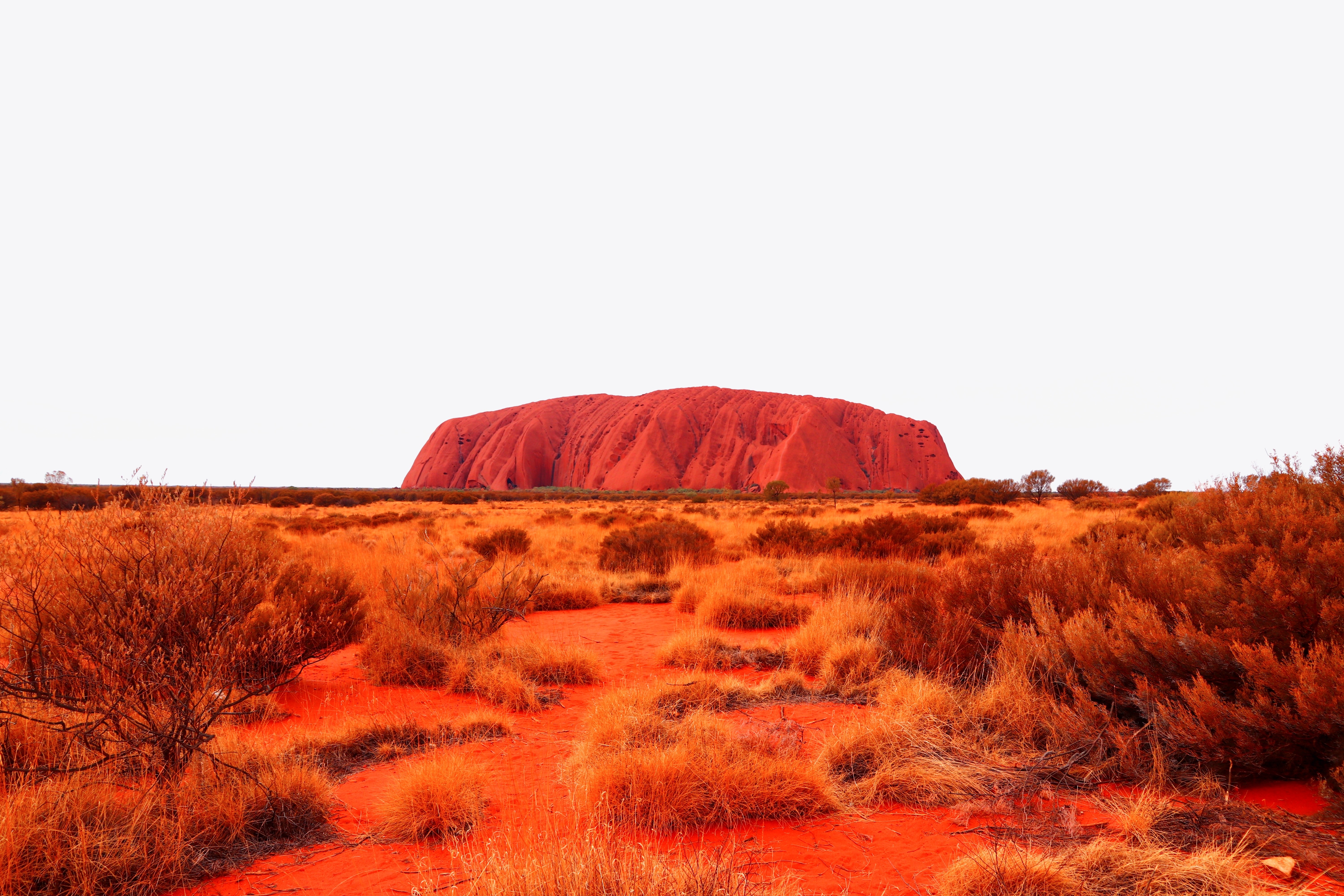 Two Night Sails in the Desert at Ayers Rock Experience